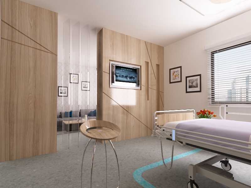 Private patient room with hospital bed, storage and an adjacent wash area